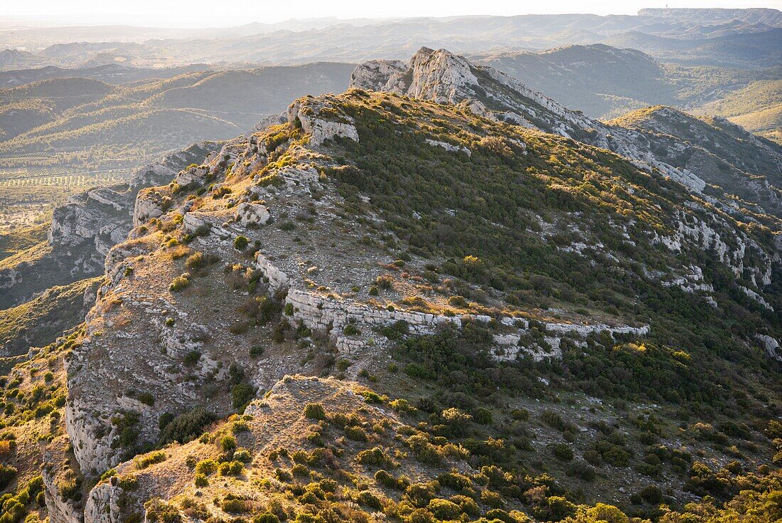 Frankreich, Bouche du Rhone, Aureille, Alpilles-Gebirge, Opies-Tal