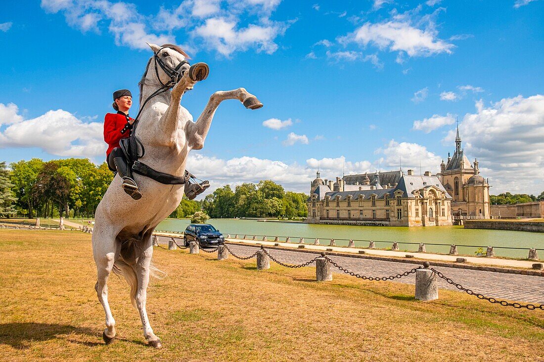 Frankreich, Oise, Chantilly, Chateau de Chantilly, die Grandes Ecuries (Große Ställe), Estelle, Reiterin der Grandes Ecuries, macht ihr Pferd vor dem Schloss zurecht
