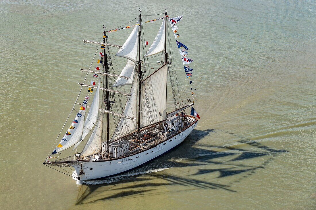 Frankreich, Seine Maritime, Tancarville, Armada von Rouen 2019, Der Dreimastschoner Marité von der Brücke von Tancarville aus gesehen