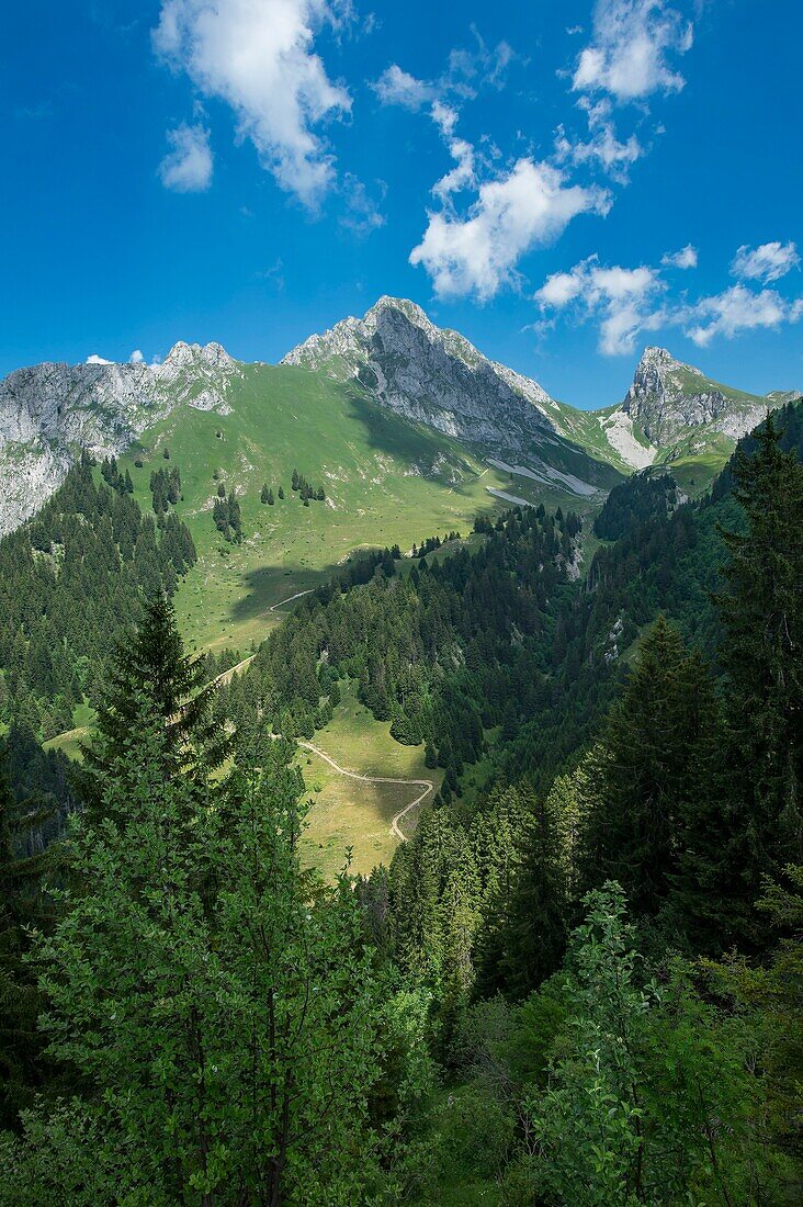 France, Haute Savoie, massif of Chablais, Bernex, the Oche and the Oche from the meadow Richard\n