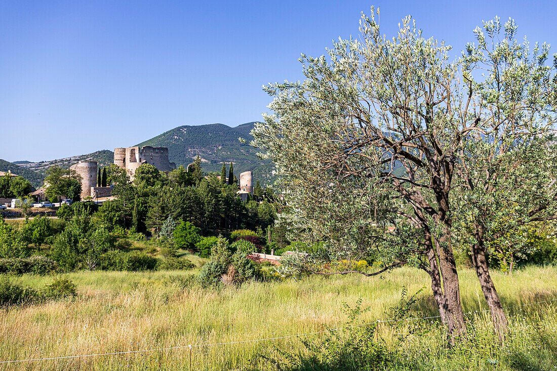 France, Drôme, regional natural park of Baronnies provençales, Montbrun-les-Bains, labeled the Most Beautiful Villages of France, the village and the Renaissance castle of Dupuy-Montbrun\n