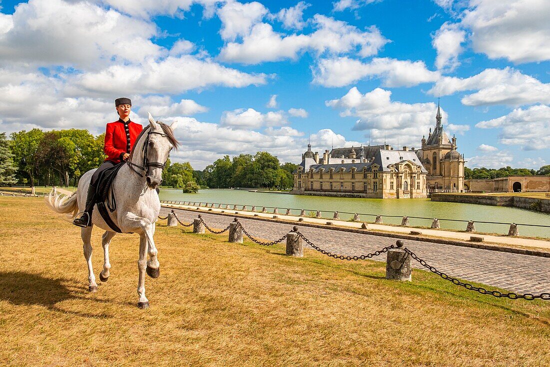 Frankreich, Oise, Chantilly, Chateau de Chantilly, die Grandes Ecuries (Große Ställe), Estelle, Reiter der Grandes Ecuries, führt sein Pferd auf spanischen Stufen vor dem Schloss