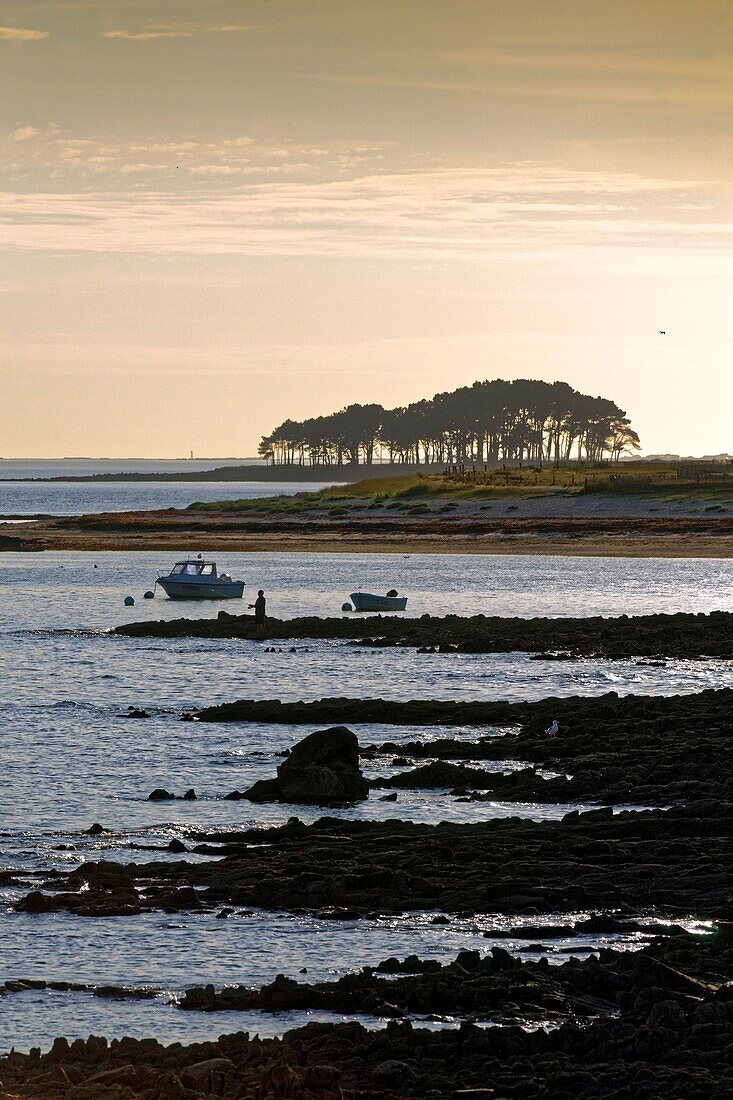 France, Morbihan, Gulf of Morbihan, Regional Natural Park of the Gulf of Morbihan, Locmariaquer, Kerpenhir Point, the beach\n