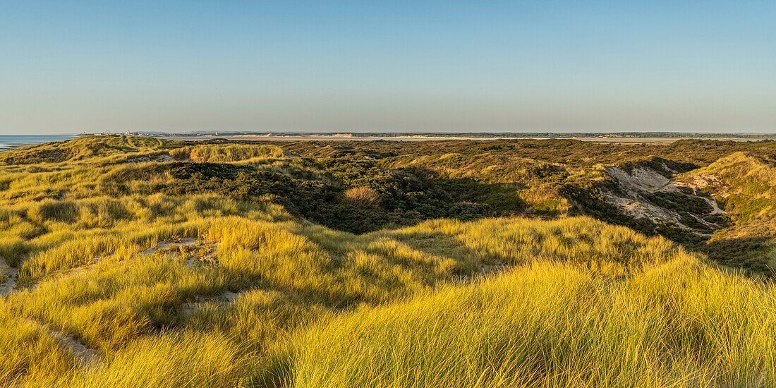 Frankreich, Somme, Fort-Mahon, Die Dünen zwischen Fort-Mahon und der Bucht von Authie bei Sonnenuntergang