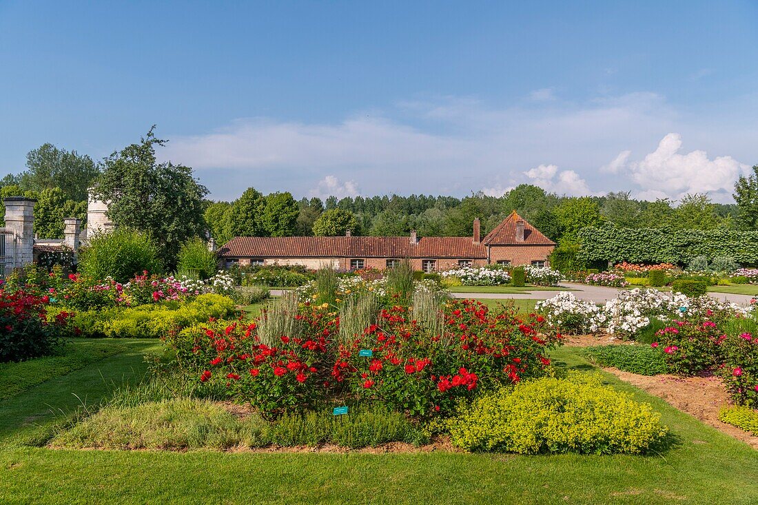 France, Somme, Valley of Authie, Argoules, the Valloires gardens are botanical and landscaped gardens on the grounds of the old Cistercian abbey of Valloires on an area of 8 hectares and labeled remarkable garden\n