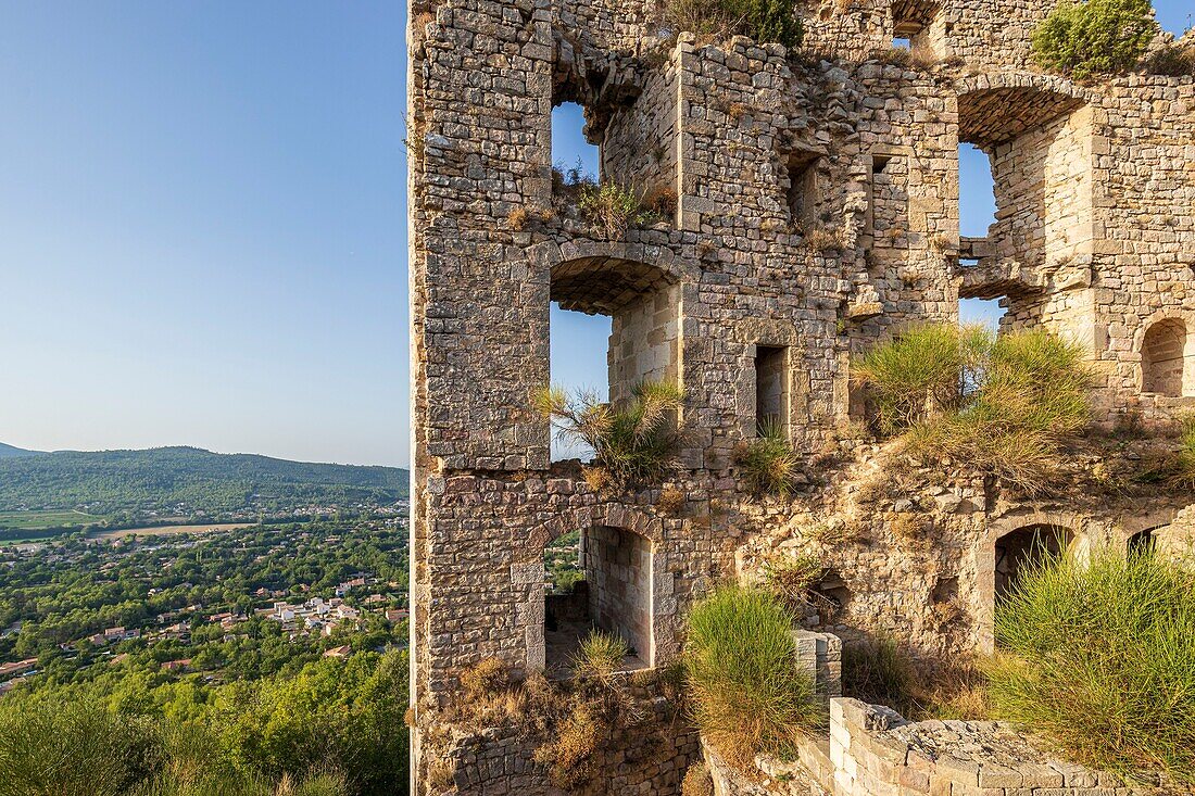 France, Var, Provence Verte, Forcalqueiret, the ruins of the castle of Forcalqueiret are among the emblematic monuments that benefit from the lotto of the heritage imagined by Stéphane Bern for their backups, the north wall of the multi storey seigniorial dwelling\n