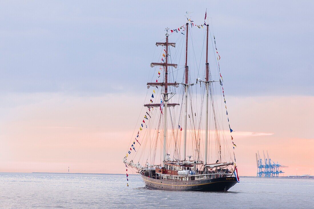 France, Calvados, Honfleur, Armada 2019, Grande Parade, Gulden Leeuw, three masted topsail schooner, sailing away from the Seine Estuary in the setting sun, with Le Havre Harbour in the background\n