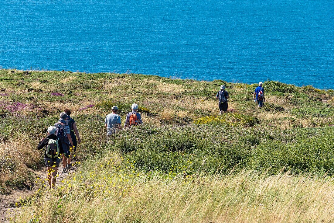 France, Finistere, Plogoff, Pointe du Raz, the hiking trail GR 34\n