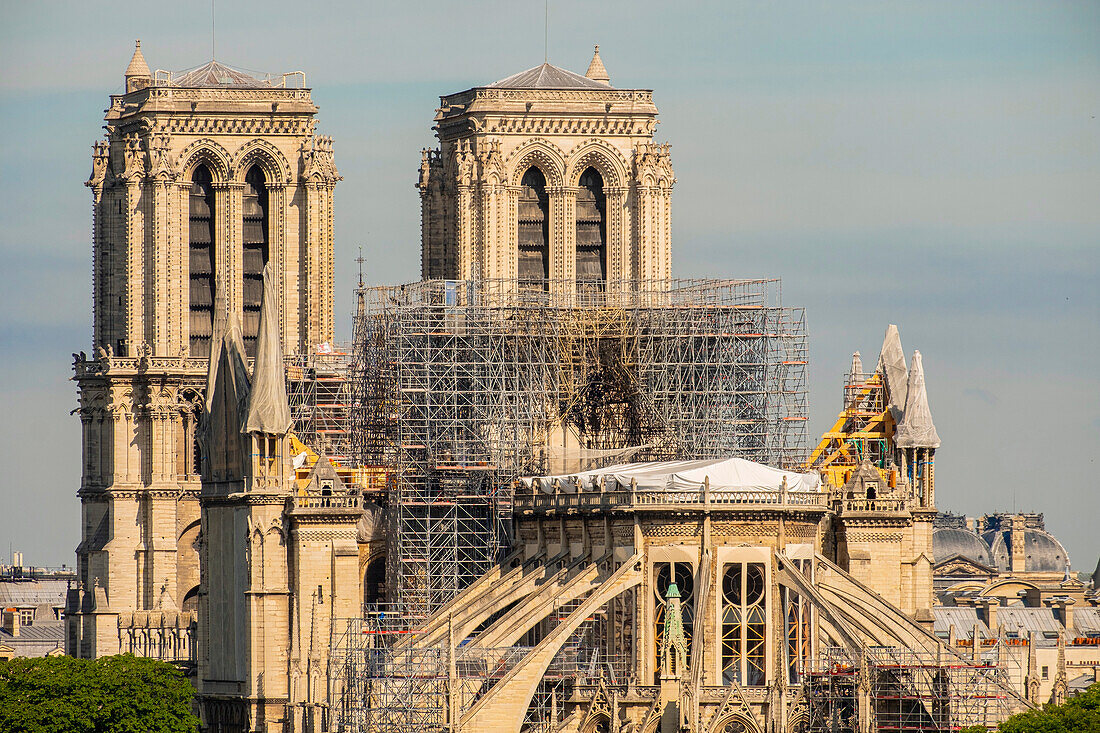 Frankreich, Paris, von der UNESCO zum Weltkulturerbe erklärtes Gebiet, Ile de la Cite, Kathedrale Notre Dame, Baugerüst