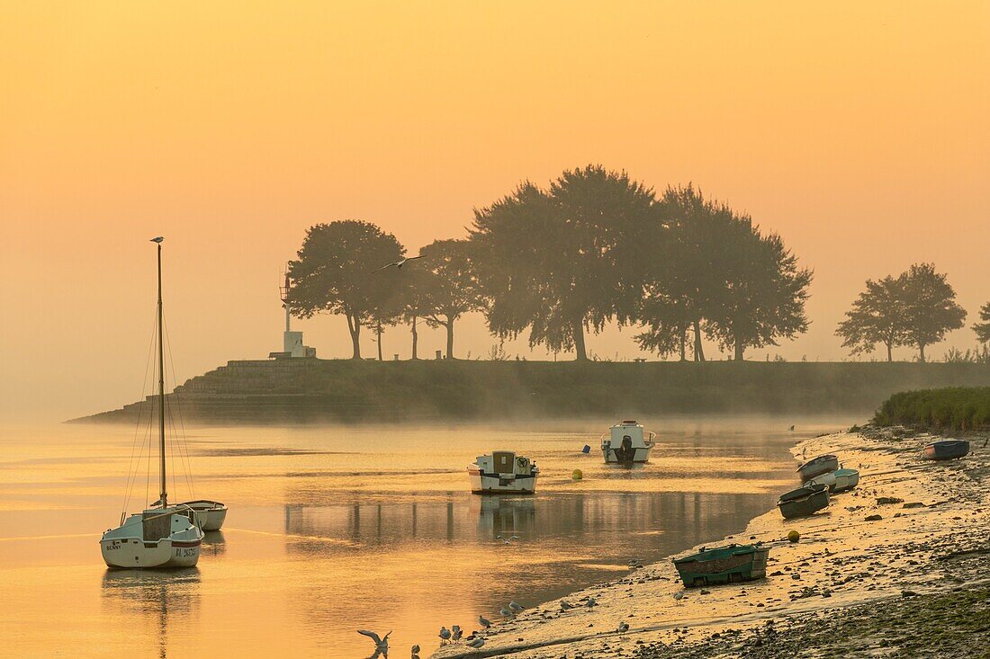 Frankreich, Somme, Somme-Bucht, Saint Valery sur Somme, Morgengrauen am Ufer der Somme, wo die Boote der Fischer und Jäger gestrandet sind