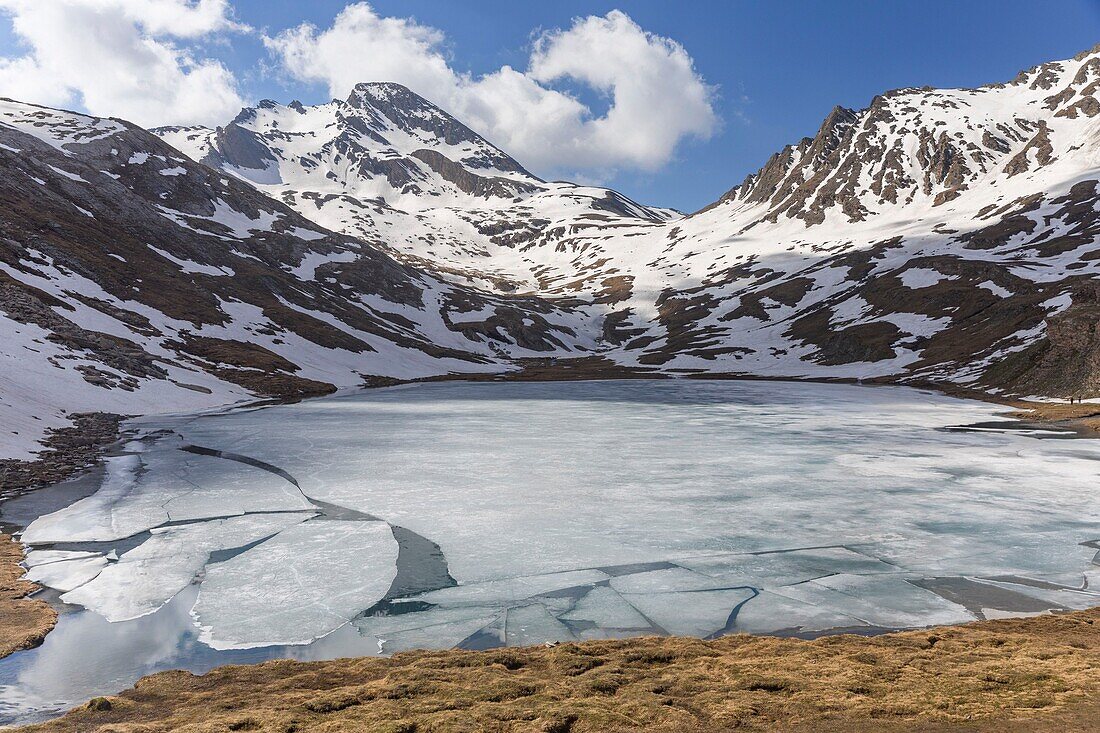 France, Hautes Alpes, Molines en Queyras, Queyras regional natural park, Foreant lake\n