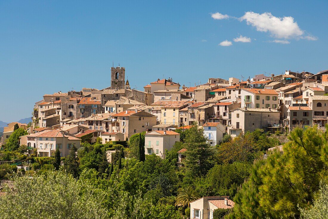 France, Alpes Maritimes, Regional Natural reserve of Pre-Alps of Azur, Saint Jeannet\n