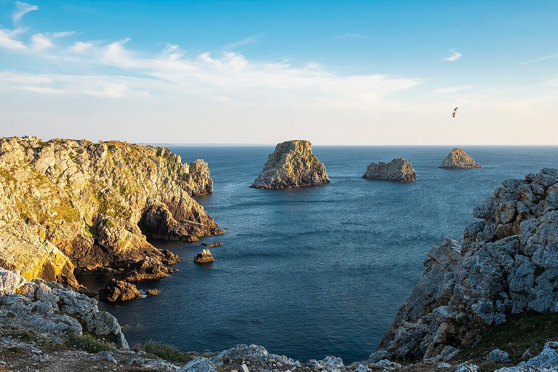 France, Finistere, Armorica Regional Natural Park, Crozon Peninsula, Camaret-sur-Mer, Pointe de Pen-Hir, Tas de Pois\n