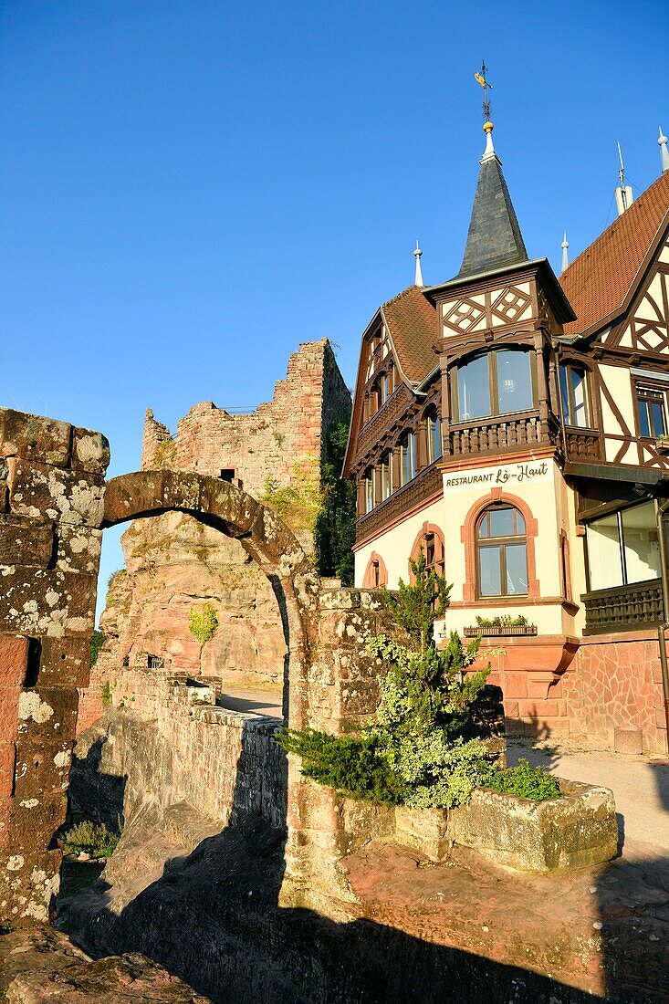 France, Bas Rhin, Saverne, Haut Barr castle dated 11th to 14th century\n