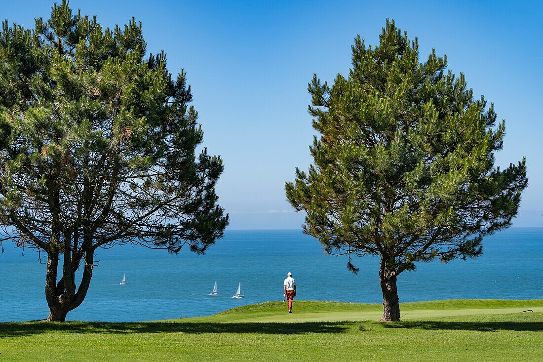 Frankreich, Seine Maritime, Etretat, Cote d'Abatre, der Golf