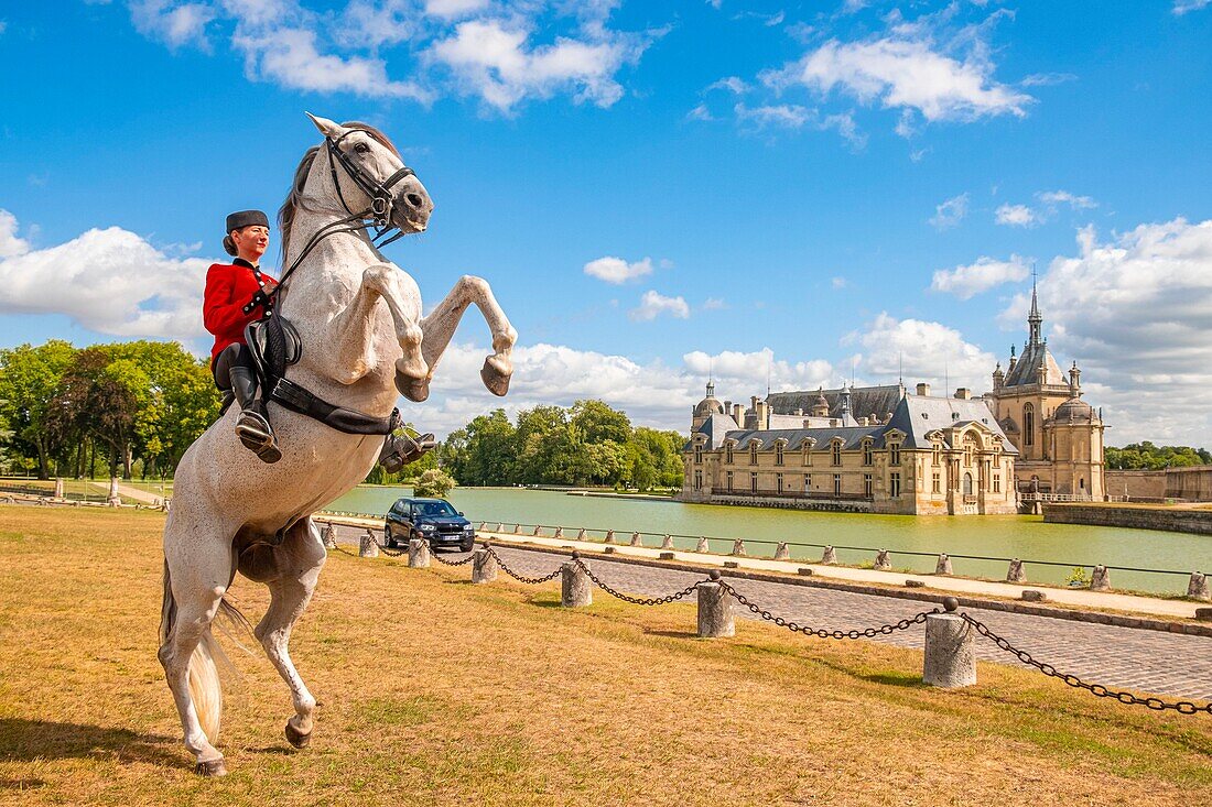 France, Oise, Chantilly, Chateau de Chantilly, the Grandes Ecuries (Great Stables), Estelle, rider of the Grandes Ecuries, makes up his horse in front of the castle\n