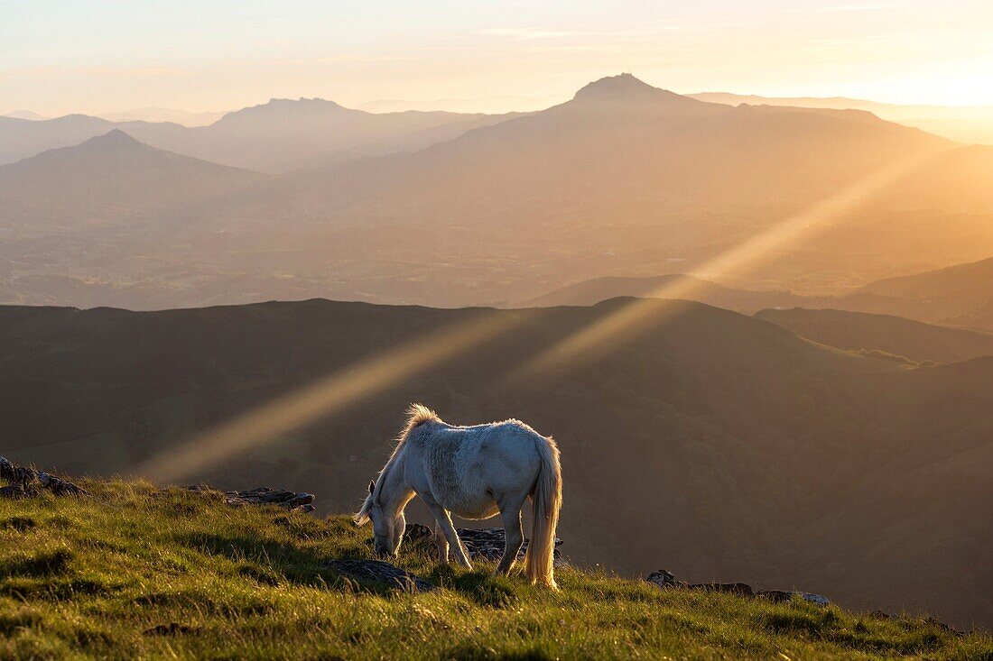 Frankreich, Pyrenees Atlantiques, Itxassou, Sonnenuntergang auf dem Rhune-Gipfel vom Gipfel des Artzamendi