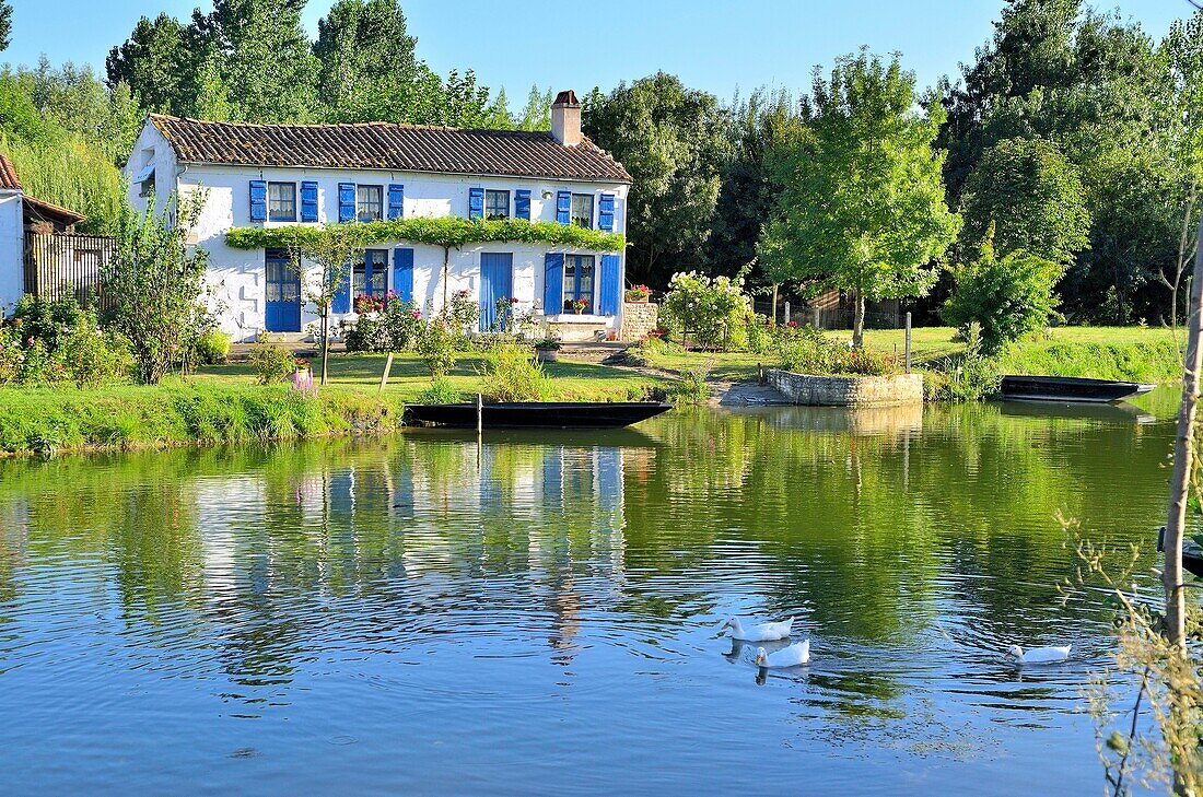 Frankreich, Deux Sevres, Marais Poitevin (Poitevin-Sumpf), Venise Verte (Grünes Venedig), Coulon, mit der Aufschrift Les Plus Beaux Villages de France (Die schönsten Dörfer Frankreichs), typisches Haus des Sumpfes am Ufer der Sevre Niortaise