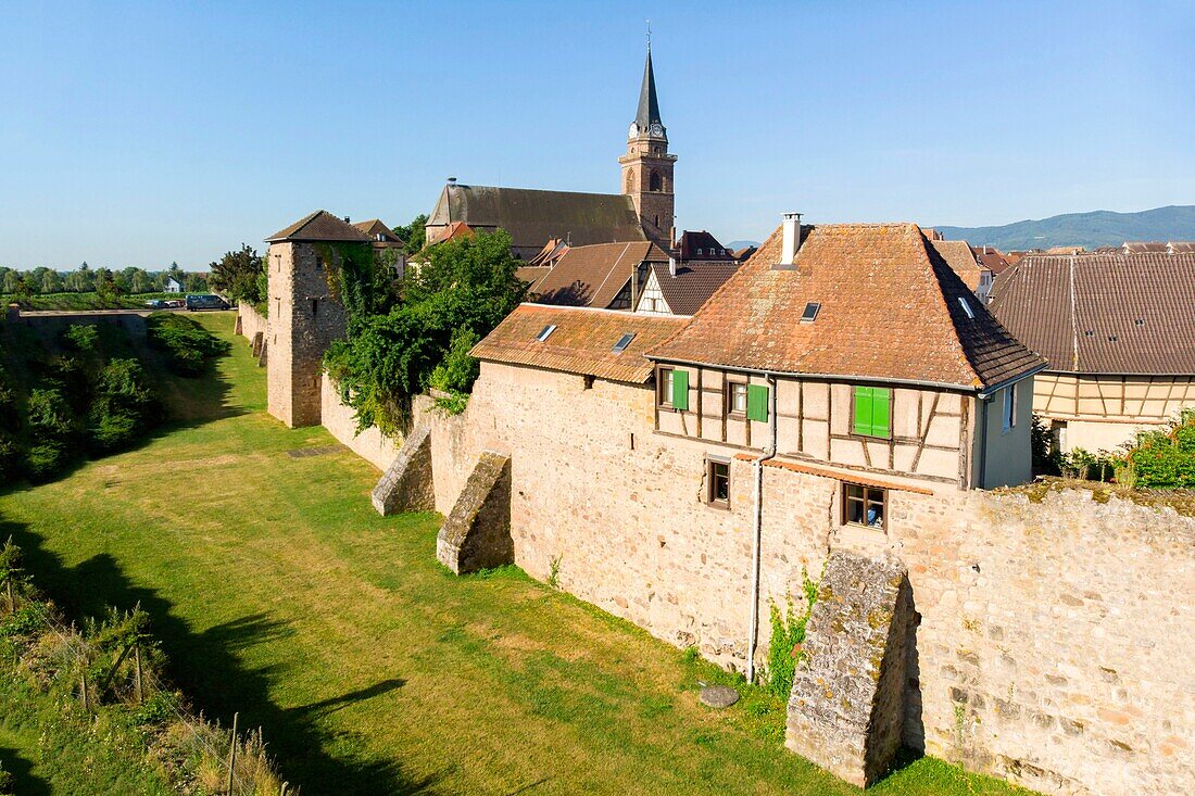 Frankreich, Haut Rhin, Elsässer Weinstraße, Bergheim, alte befestigte mittelalterliche Stadt