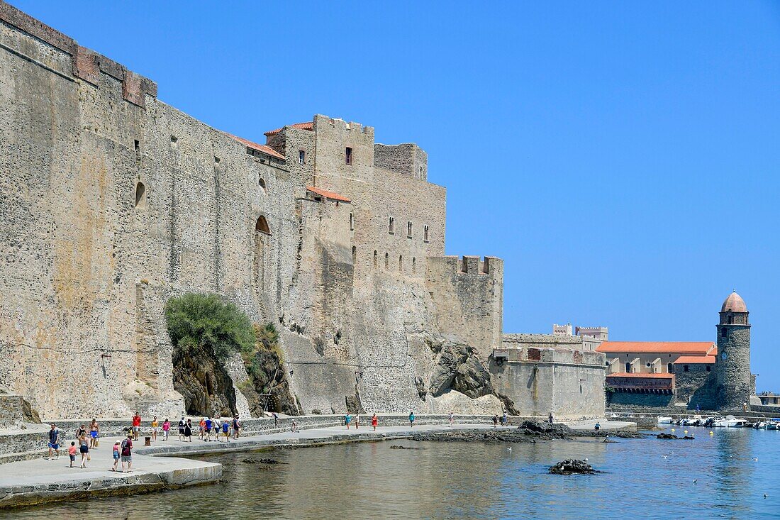 Frankreich, Pyrenees Orientales, Collioure, Chateau Royal du VIIe siècle, promeneurs sur un chemin en bordure de mer longeant une muraille
