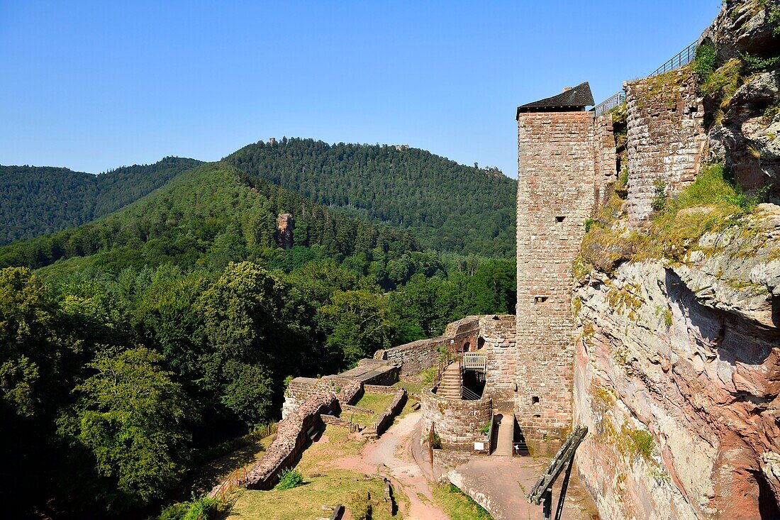 France, Bas Rhin, Parc Naturel Regional des Vosges du Nord (Northern Vosges Regional Natural Park, Lembach, Fleckenstein castle ruins dated 12th century\n