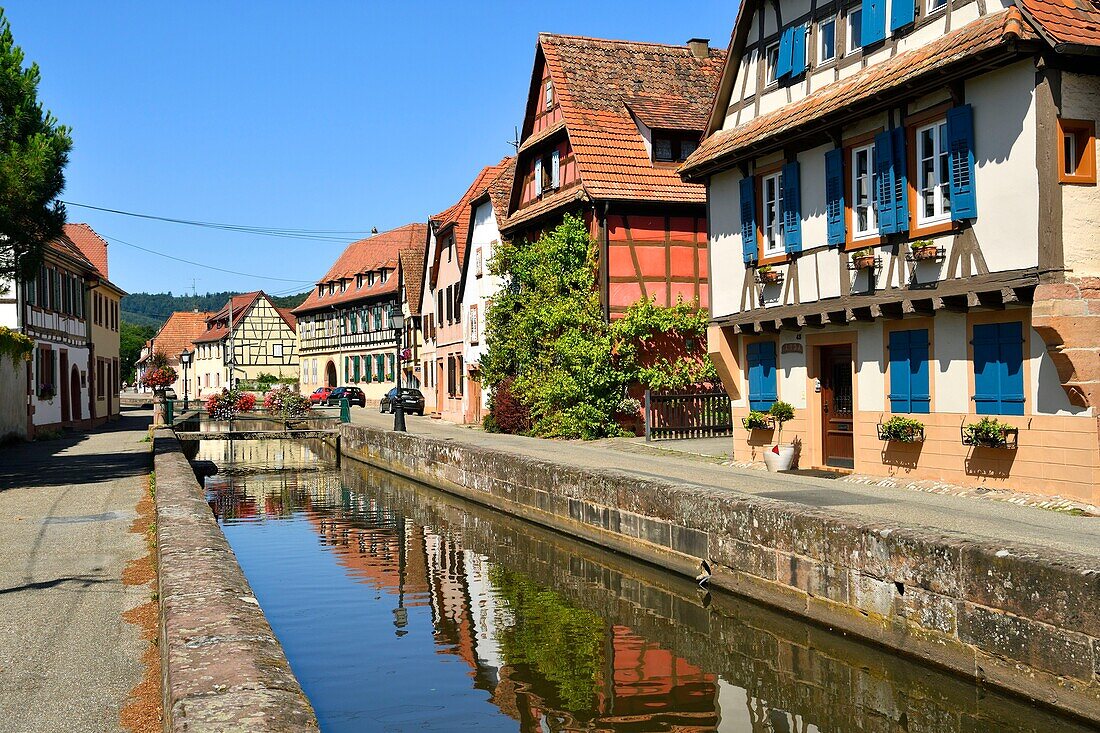 France, Bas Rhin, Outre Foret (Northern Alsace), Wissembourg, district of the Bruch, banks of the Lauter River\n