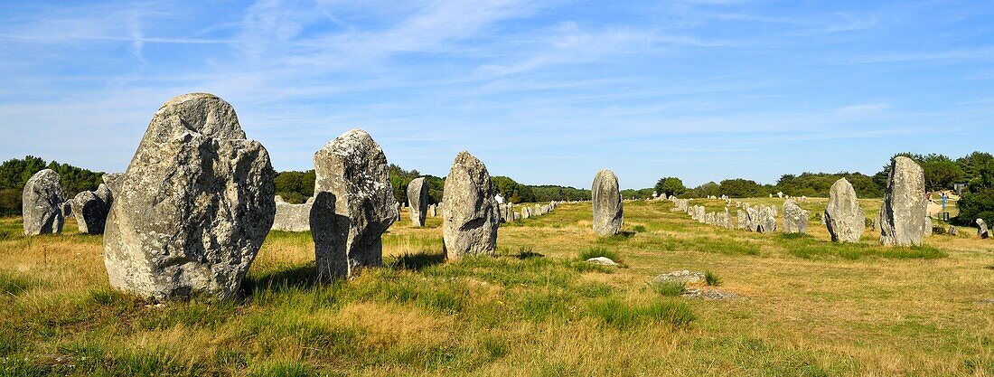 France, Morbihan, Carnac, megalithic site of Menec\n