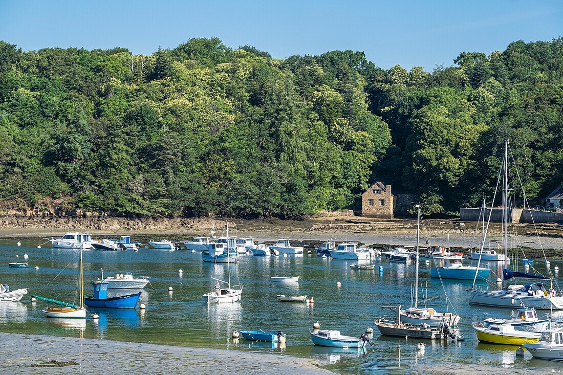 France, Finistere, Riec-sur-Belon, Belon harbour on Belon river\n