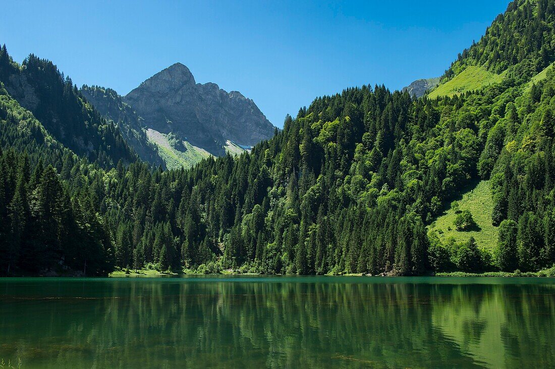 France, Haute Savoie, massif of Chablais, Abondance Valley, Abondance, Lake Plagnes and the tip of Chavache\n