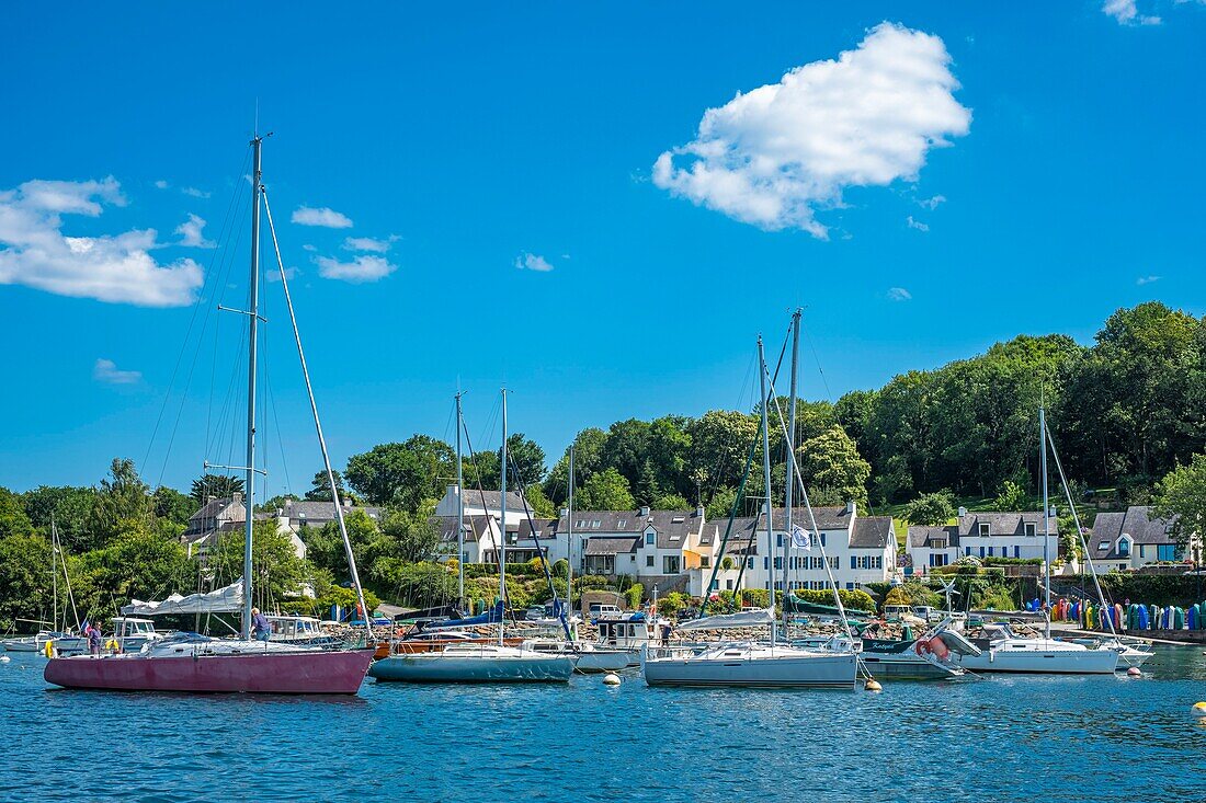 Frankreich, Finistere, Moelan-sur-Mer, Hafen von Belon am Fluss Belon, gesehen von vu depuis Riec-sur-Belon