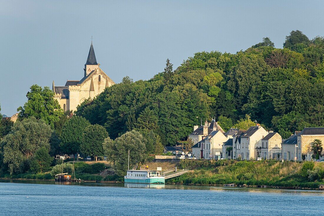 Frankreich, Maine-et-Loire, Loire-Tal, das von der UNESCO zum Weltkulturerbe erklärt wurde, Montsoreau, mit der Bezeichnung Les Plus Beaux Villages de France (Die schönsten Dörfer Frankreichs), im Hintergrund die Stiftskirche Saint-Martin de Candes