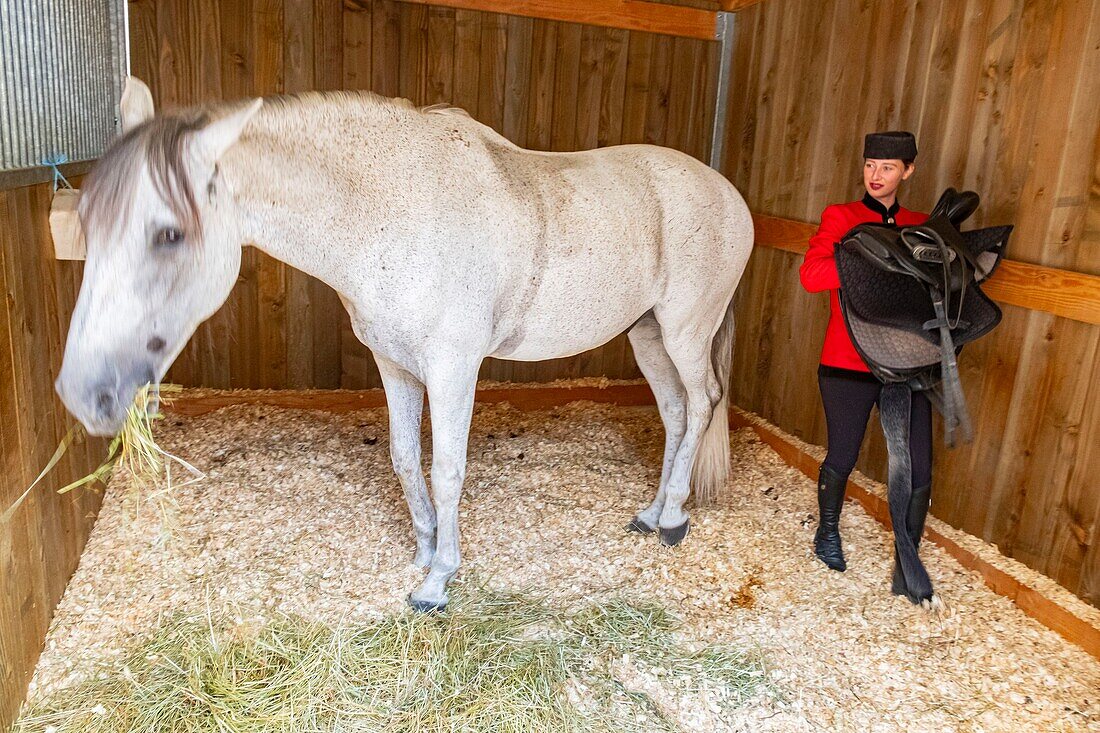 France, Oise, Chantilly, Chateau de Chantilly, the Grandes Ecuries (Great Stables), Estelle, rider of the Grandes Ecuries, preparing his horse\n