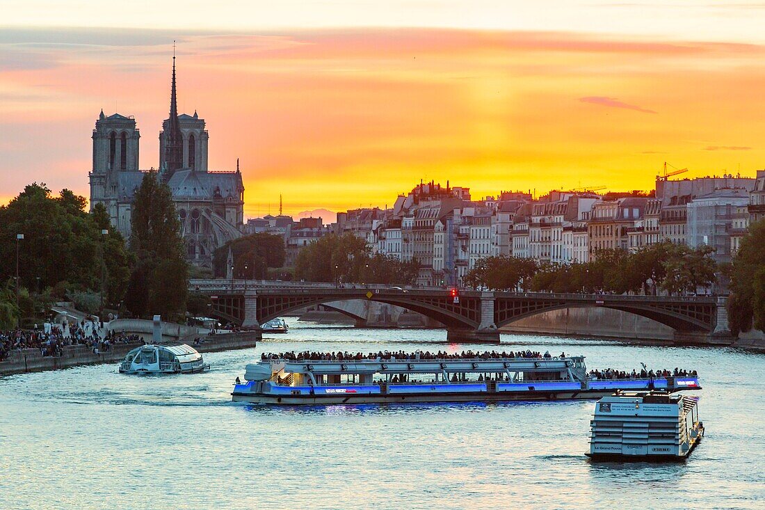 France, Paris, area listed as World Heritage by UNESCO, Ile de la Cite, Notre Dame Cathedral and a fly boat\n