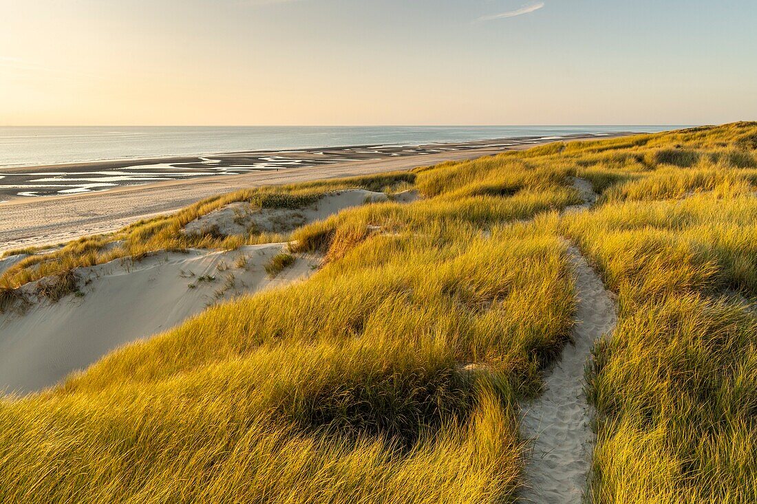 Frankreich, Somme, Fort-Mahon, Die Dünen zwischen Fort-Mahon und der Bucht von Authie bei Sonnenuntergang