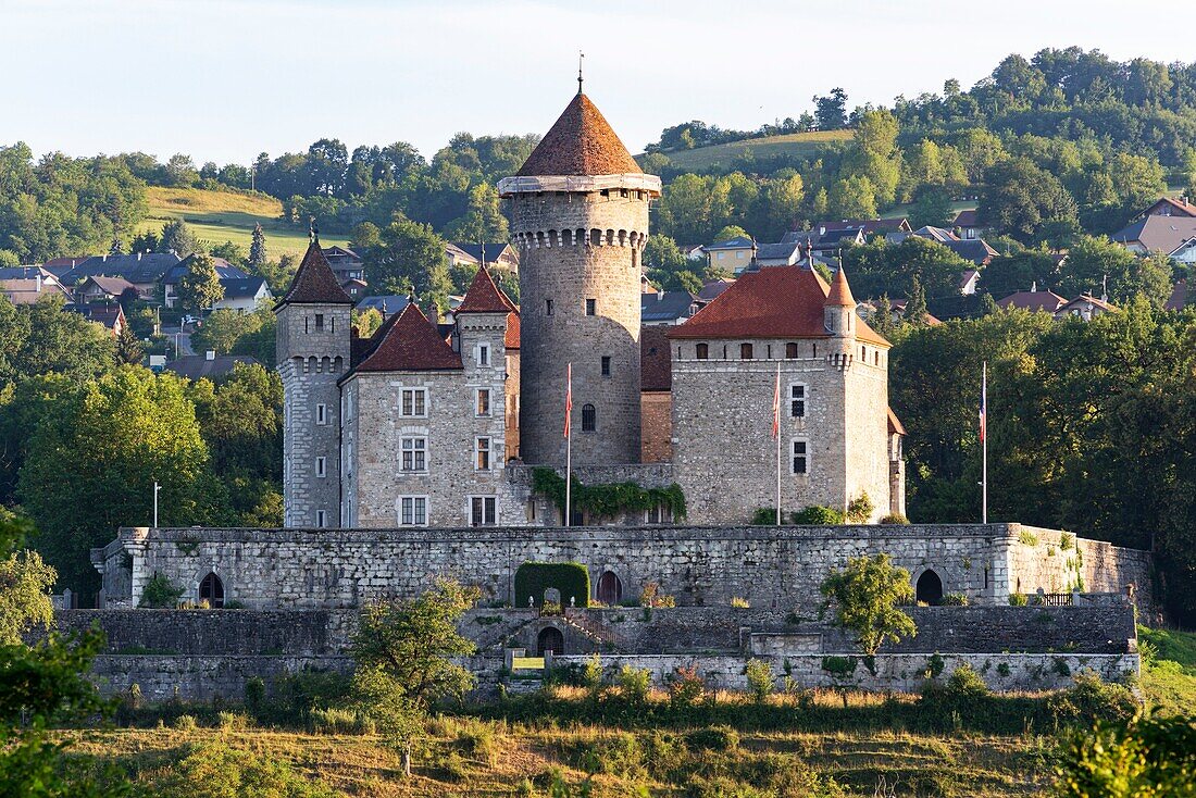 France, Haute Savoie, Lovagny, Montrottier castel (13th-15th century), Florimontane academy\n