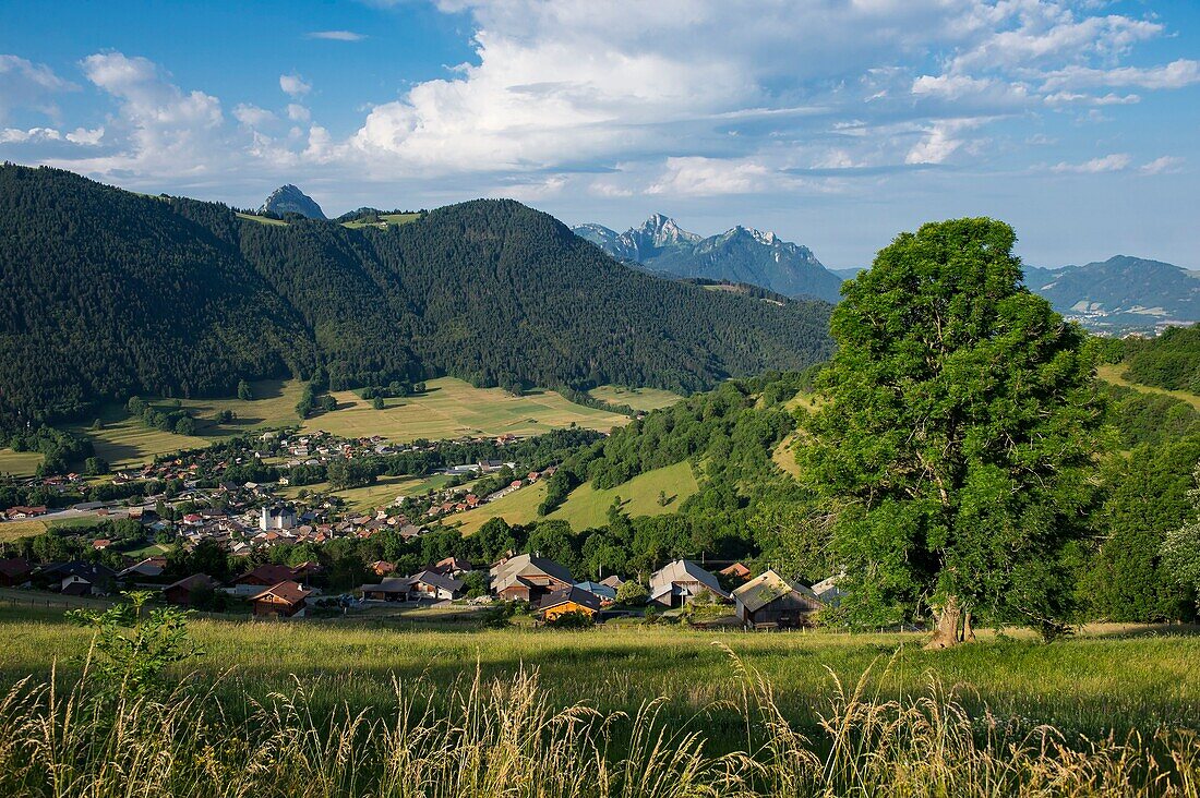 France, Haute Savoie, massif of Chablais, Bernex, the village seen from Mount Benad and Mount Baron\n