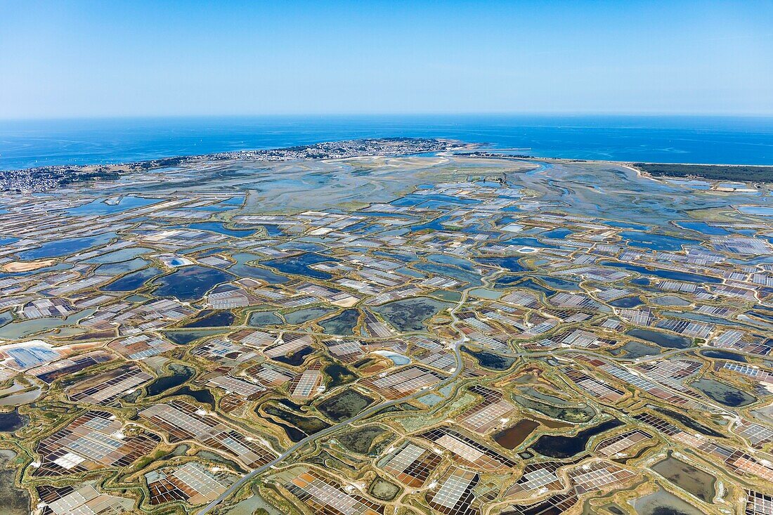 France, Loire Atlantique, Guerande, salt marshes and Le Croisic peninsula (aerial view)\n