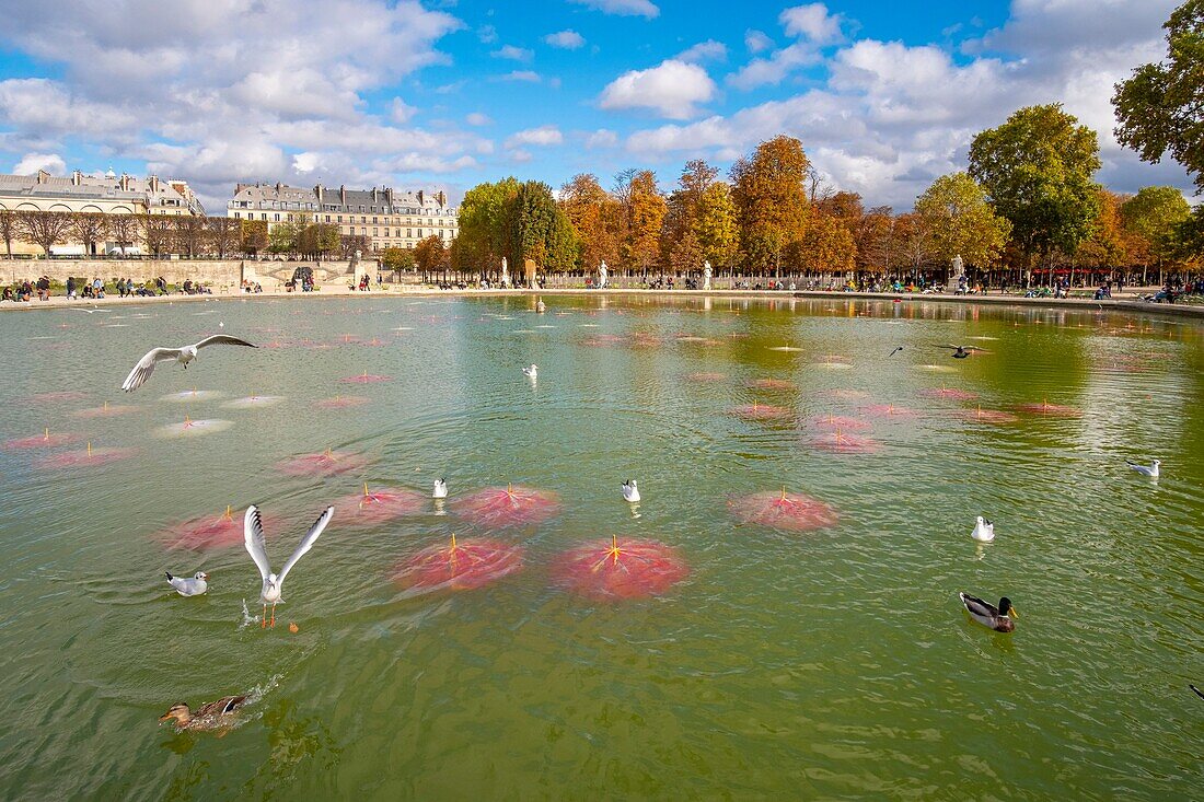 Frankreich, Paris, Tuileriengarten, FIAC OFF 2019, Noel Dolla, Seerosen nach der Sintflut, 500 Schirme im Wasserbecken