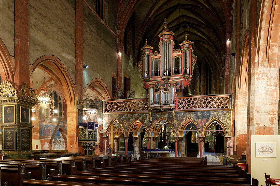 Frankreich, Bas Rhin, Straßburg, Altstadt, die von der UNESCO zum Weltkulturerbe erklärt wurde, protestantische Kirche Saint-Pierre-le-Jeune, Gewölbe aus dem 14. Jahrhundert, überragt von einer Silbermann-Orgel (1780)