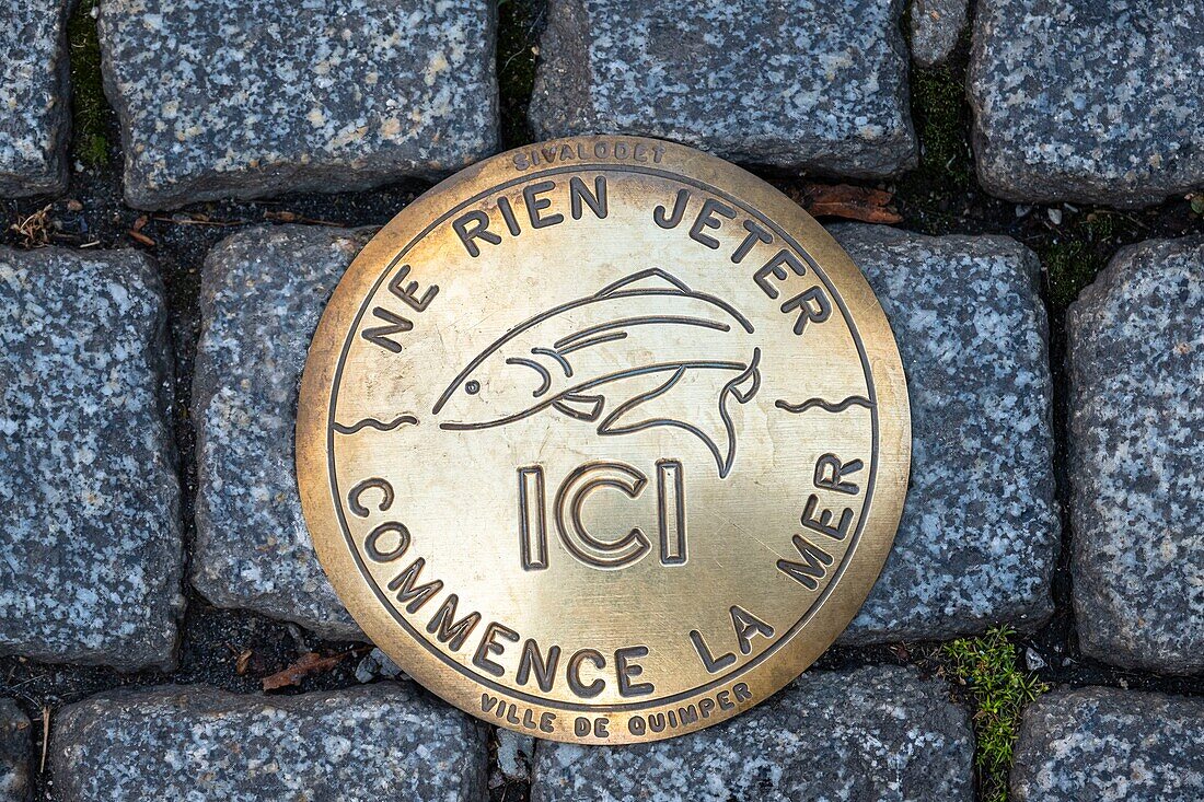 France, Finistere, Quimper, Kéréon street, detail of an urban nail against the pollution of aquatic environments by butts and other wastes\n