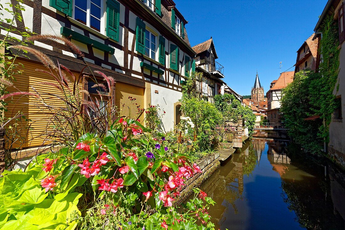 Frankreich, Bas Rhin, Outre Foret (Nord-Elsass), Wissembourg, das kleine Venedig und die Kirche Saint-Pierre-Saint-Paul