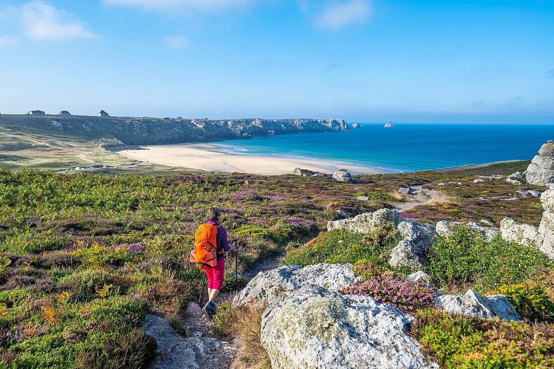 France, Finistere, Armorica Regional Natural Park, Crozon Peninsula, Camaret-sur-Mer, GR 34 hiking trail or customs trail to Pen Hat beach\n