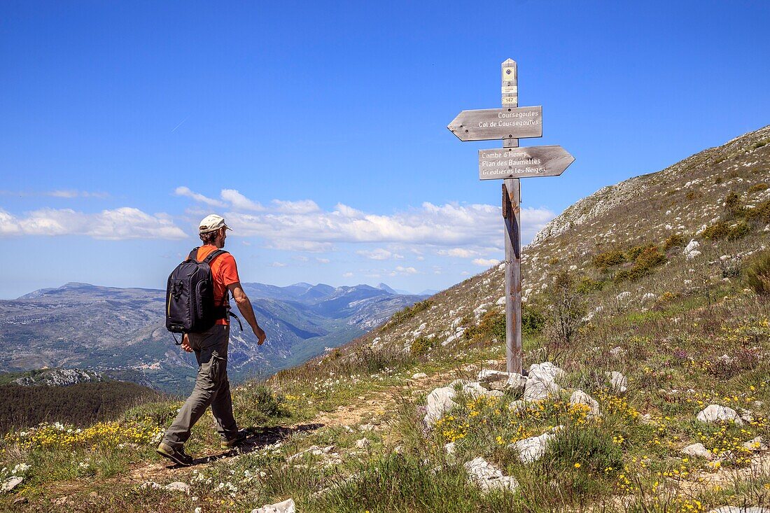 Frankreich, Alpes Maritimes, Parc Naturel Regional des Prealpes d'Azur, Coursegoules, Berg Cheiron, Leuchtfeuer 147 am Coursegoules-Pass (1414 m)