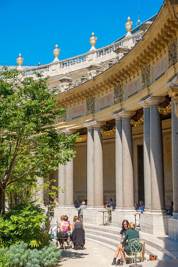 France, Paris, area listed as World Heritage by UNESCO, museum of Fine Arts of the City of Paris in the Petit Palais, the inner garden\n