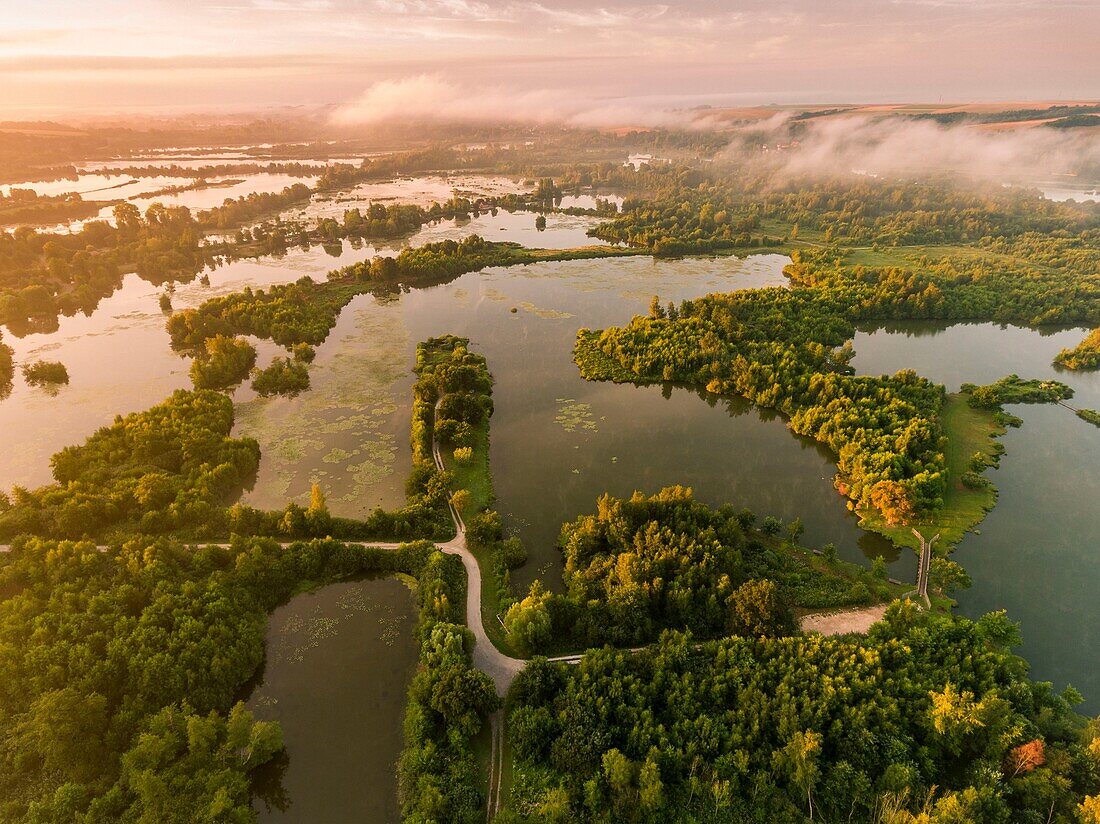 France, Somme, Valley of the Somme, Long, the swamps of the Somme at Long in the early morning, the valley of the Somme still misty (vue aérienne)\n