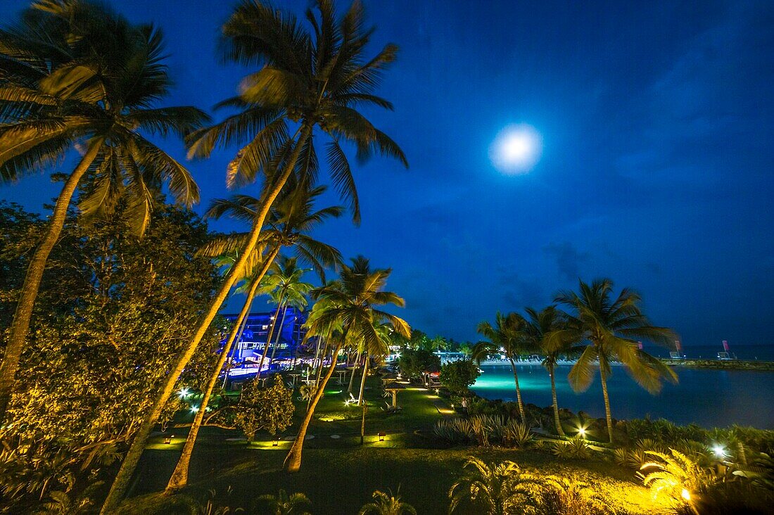 France, Caribbean, Lesser Antilles, Guadeloupe, Grande-Terre, Le Gosier, Creole Beach's garden and beach in the moonlight\n