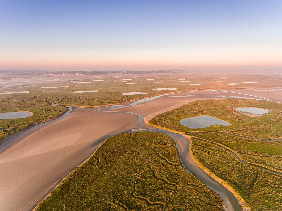 Frankreich, Somme, Somme-Bucht, Noyelles-sur-mer, die gesalzenen Wiesen der Somme-Bucht am frühen Morgen mit den Kanälen und den Tümpeln der Jagdhütten, ein wenig Nebel, und Saint-Valery-sur-Somme im Hintergrund (Luftaufnahme)