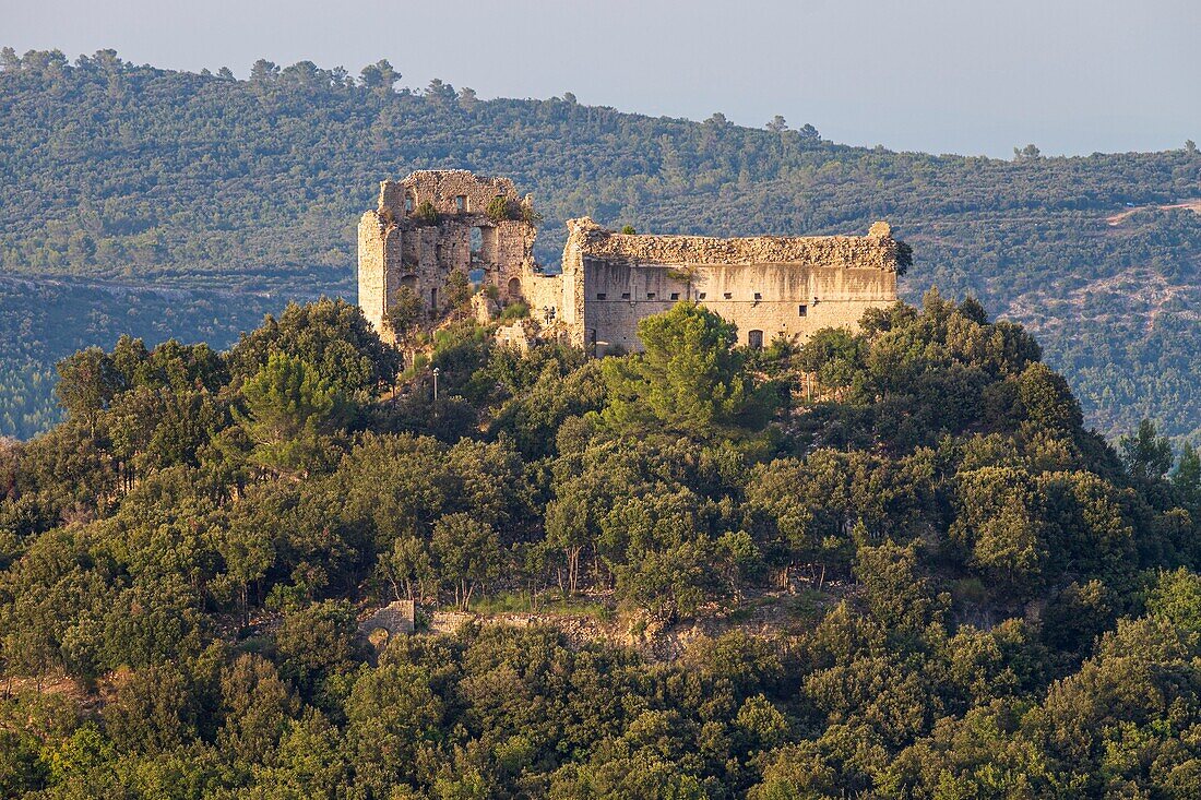 Frankreich, Var, Provence Verte, Forcalqueiret, die Ruinen des Schlosses von Forcalqueiret gehören zu den emblematischen Denkmälern, die von der Lotterie des Kulturerbes profitieren, die von Stéphane Bern für ihre Sicherungen erdacht wurde, das Schloss thront auf seinem Hügel