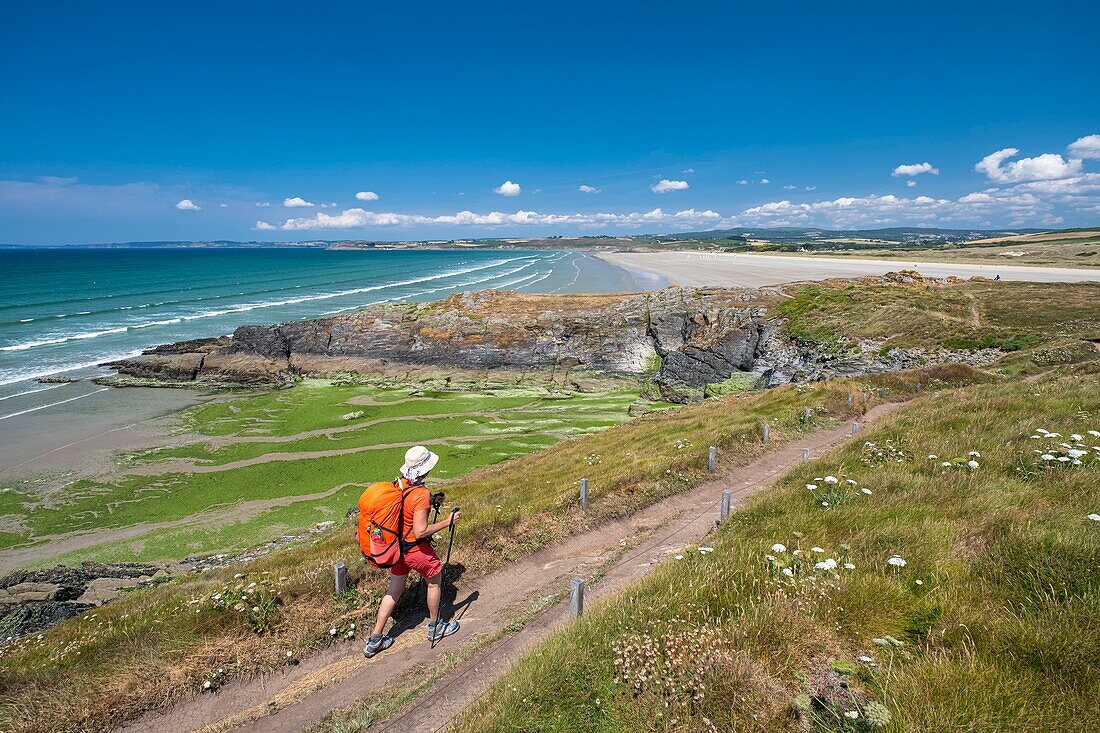 France, Finistere, Douarnenez Bay, Plonevez-Porzay, Sainte-Anne La Palud beach along the GR 34 hiking trail or customs trail, creek invaded by green algae on the foreground\n