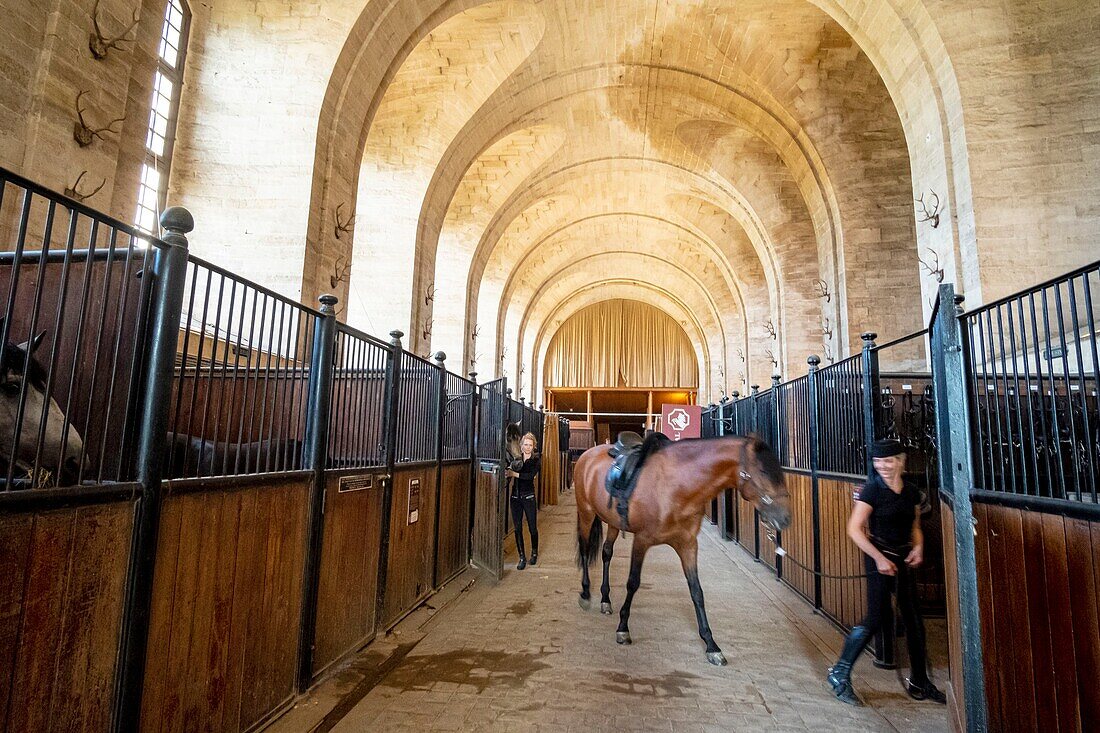 Frankreich, Oise, Chantilly, Schloss Chantilly, die großen Ställe, Sophie Bienaimé, Reiterin und künstlerische Leiterin führt ihr Pferd aus